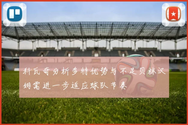 科瓦奇分析多特优势与不足贝林汉姆需进一步适应球队节奏
